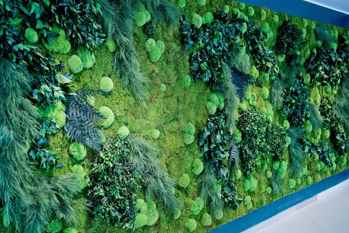 Imagen de los interiores del Hotel Wasa Resort, Apartments and Spa. Foto 18