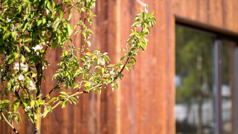 Imagen de la habitación del Hotel Wasa Resort, Apartments and Spa. Foto 6