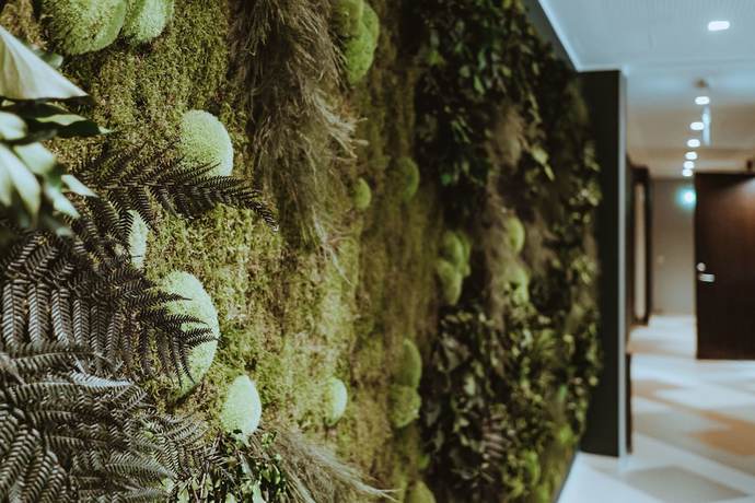 Imagen de los interiores del Hotel Wasa Resort, Apartments and Spa. Foto 20