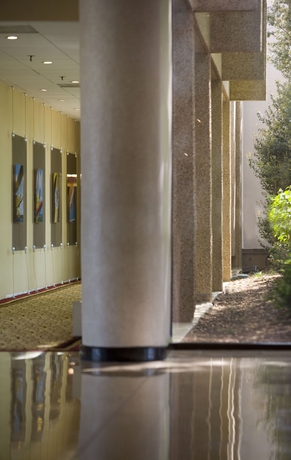 Imagen de los interiores del Hotel Washington Dulles Airport Marriott. Foto 6