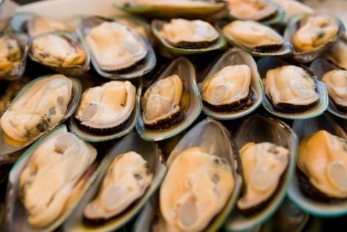 Imagen general del Hotel Wasser Palast. Foto 20