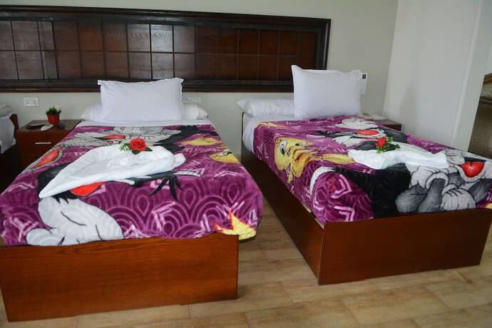 Imagen general del Hotel Wassim Boutique. Foto 9