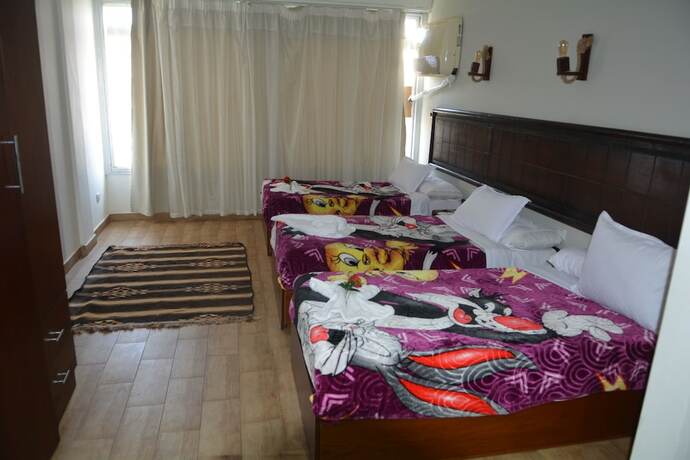 Imagen de la habitación del Hotel Wassim Boutique. Foto 18