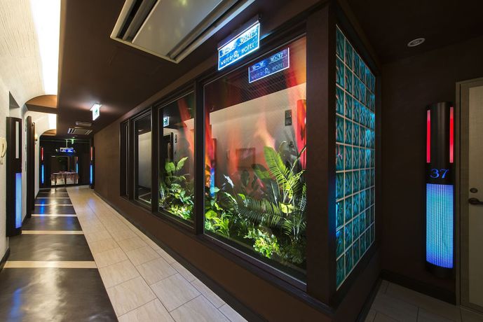 Imagen de los interiores del Hotel Water Ry - Adults Only. Foto 18
