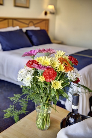 Imagen de la habitación del Hotel Waterfront. Foto 8