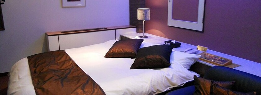 Imagen de la habitación del Hotel Watergate Gifu. Foto 23