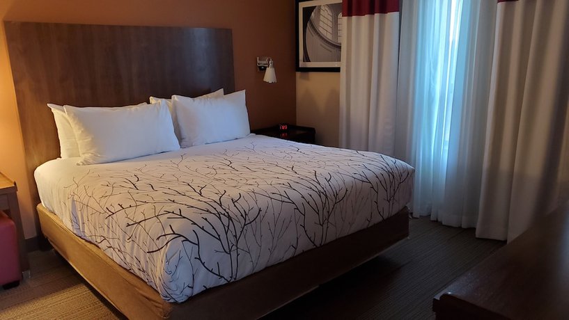 Imagen de la habitación del Hotel Waterloo Suites, Trademark Collection by Wyndham. Foto 6