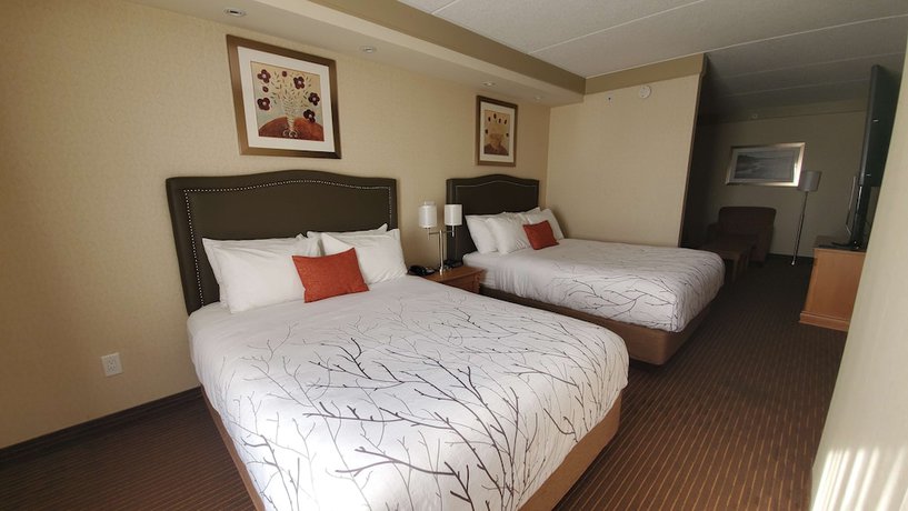 Imagen de la habitación del Hotel Waterloo Suites, Trademark Collection by Wyndham. Foto 10