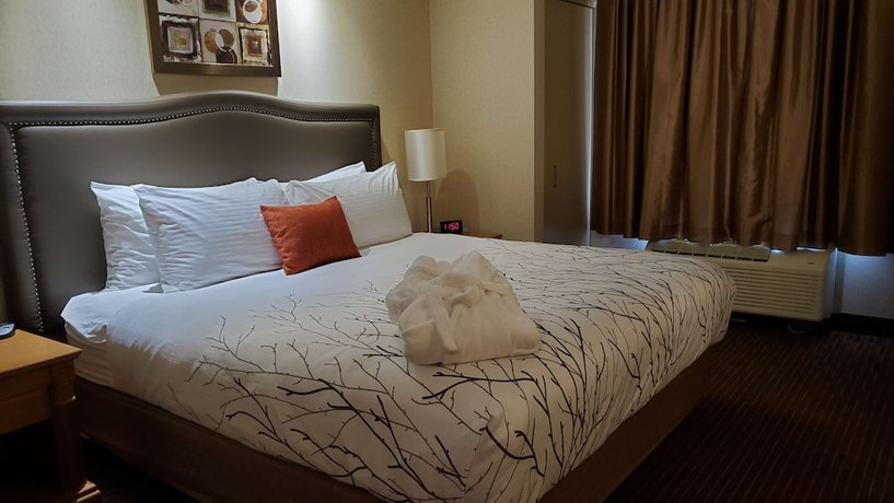 Imagen de la habitación del Hotel Waterloo Suites, Trademark Collection by Wyndham. Foto 15