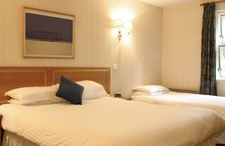 Imagen de la habitación del Hotel Waterwheel Inn Hotel. Foto 5