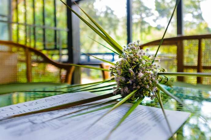 Imagen general del Hotel Wayanad Wild Rainforest lodge by CGH Earth. Foto 4