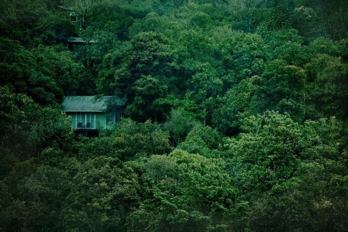 Imagen general del Hotel Wayanad Wild Rainforest lodge by CGH Earth. Foto 9