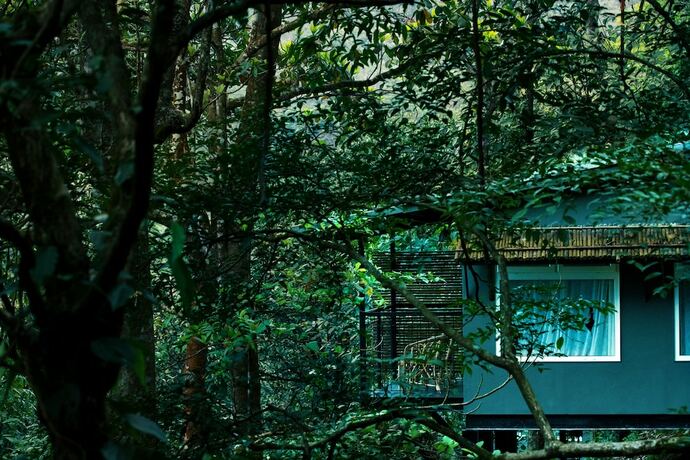 Imagen de la habitación del Hotel Wayanad Wild Rainforest lodge by CGH Earth. Foto 15