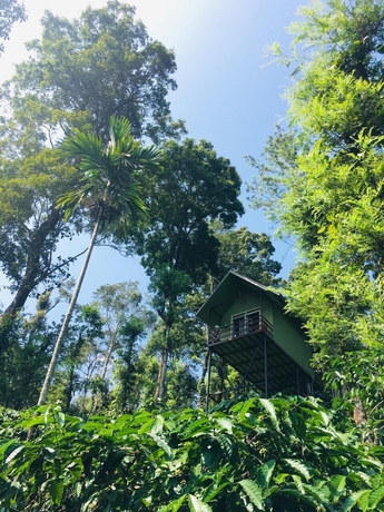 Imagen general del Hotel Wayand Whistling Woods. Foto 3