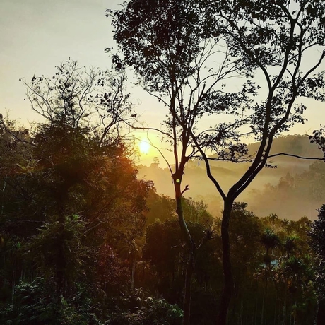 Imagen general del Hotel Wayand Whistling Woods. Foto 10