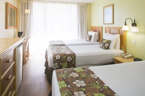 Imagen de la habitación del Hotel Wayfinder Waikiki. Foto 3