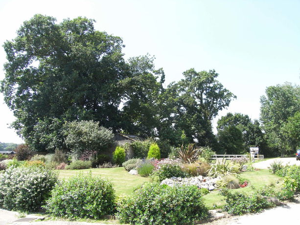 Imagen de los exteriores del Hotel Wayford Bridge Inn. Foto 9