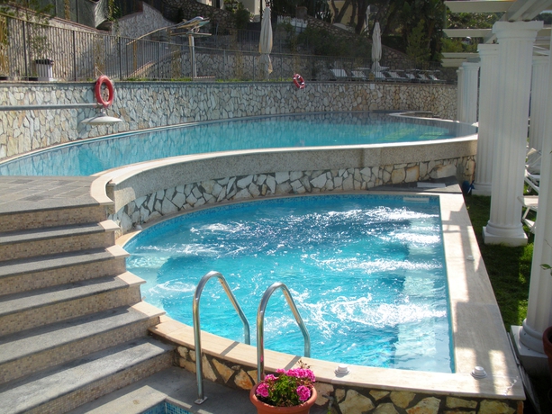 Imagen de la piscina del Hotel Weber Ambassador. Foto 12