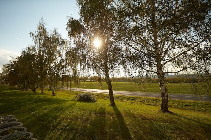 Imagen de la habitación del Hotel Weimarer Berg. Foto 12