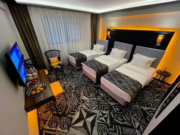 Imagen general del Hotel Weingart Istanbul. Foto 7