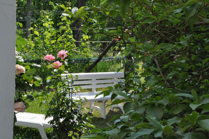 Imagen de la habitación del Hotel Weingarten Terlan - Rooms and Breakfast. Foto 6