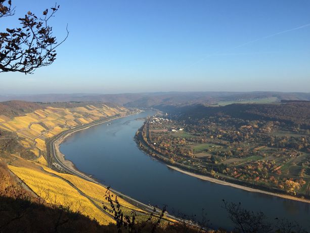 Imagen general del Hotel Weinhotel Landsknecht. Foto 3