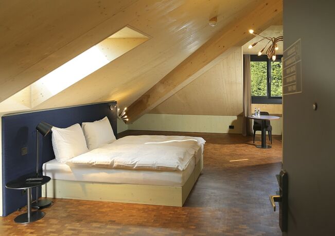 Imagen de la habitación del Hotel Weissbad Lodge. Foto 32
