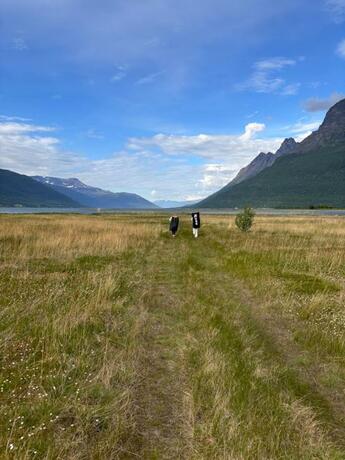 Imagen general del Hotel Welcome Inn Lyngskroa. Foto 34