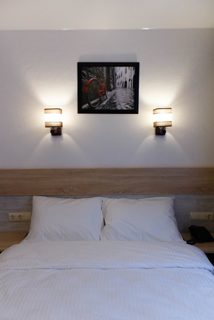 Imagen de la habitación del Hotel Welcome Inn, Velikiy Novgorod. Foto 6