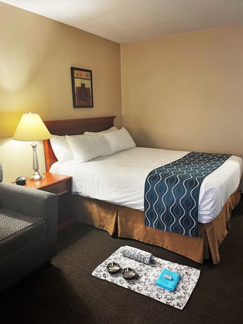 Imagen de la habitación del Hotel Welcominns Ottawa. Foto 19