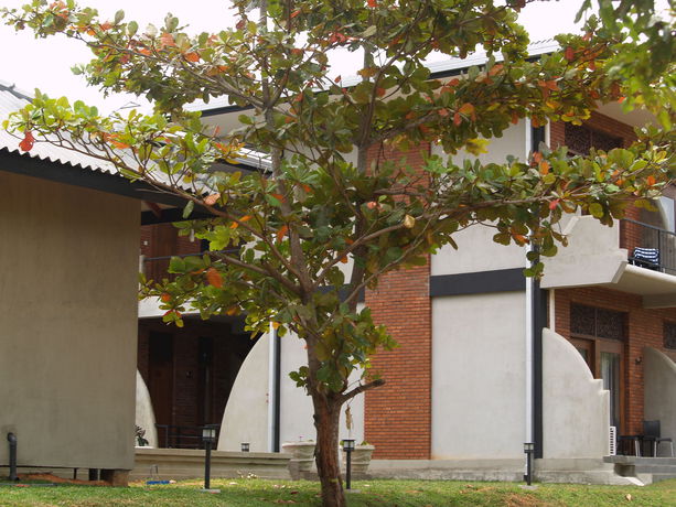 Imagen de la habitación del Hotel Welimaluwa Resort. Foto 8