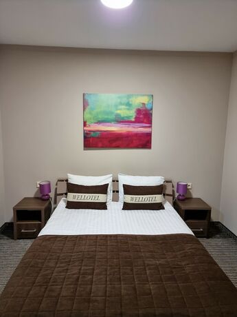 Imagen general del Hotel WellOtel Yuzhne. Foto 5