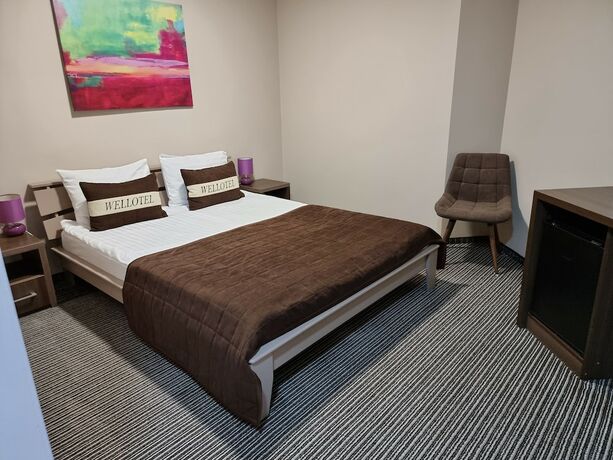 Imagen de la habitación del Hotel WellOtel Yuzhne. Foto 20