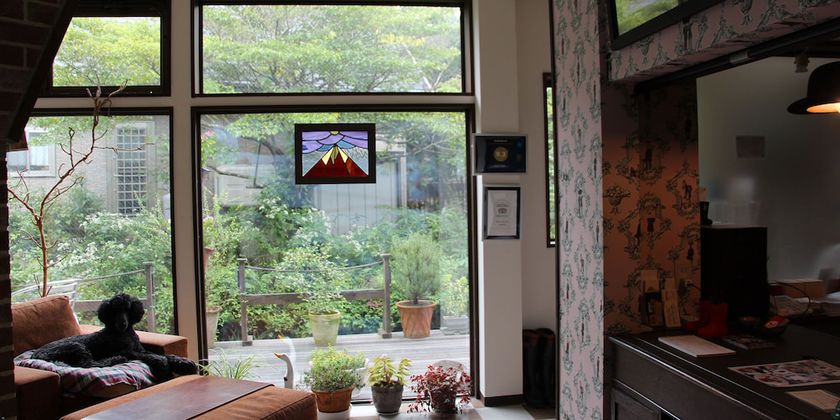 Imagen de los interiores del Hotel Wellies. Foto 20