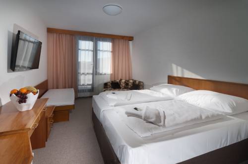 Imagen de la habitación del Hotel Wellness Astra. Foto 10