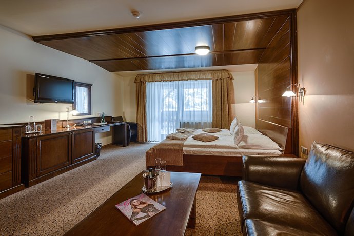 Imagen de la habitación del Hotel Wellness Borovica. Foto 4