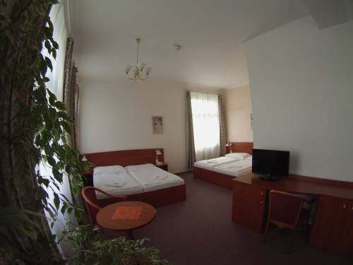 Imagen de la habitación del Hotel Wellness Centr&aacute;l. Foto 5