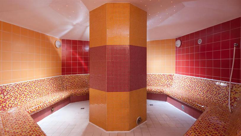 Imagen general del Hotel Wellness Hotel Frymburk. Foto 2