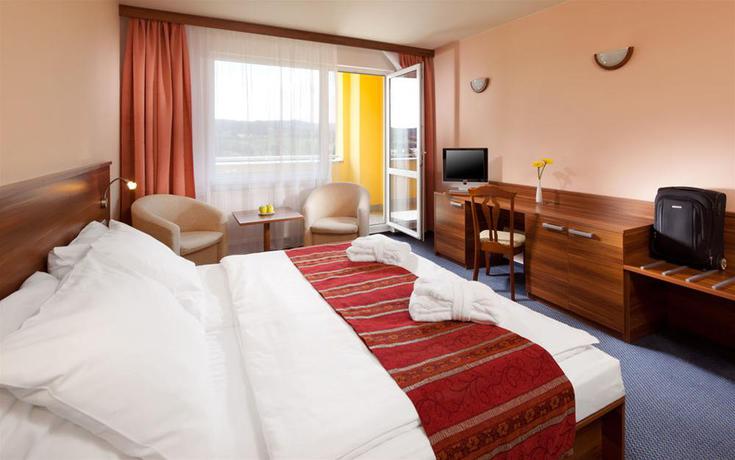 Imagen general del Hotel Wellness Hotel Frymburk. Foto 6