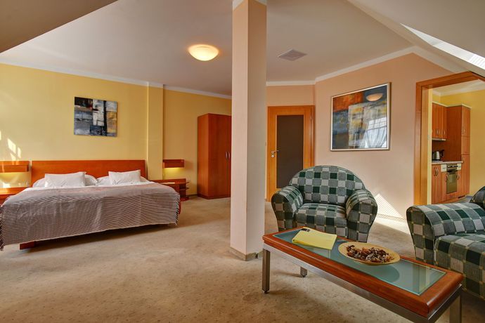 Imagen de la habitación del Hotel Wellness La Passionaria. Foto 5