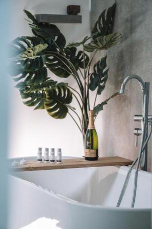 Imagen general del Hotel Wellness Lodges x De IJsvogel. Foto 11