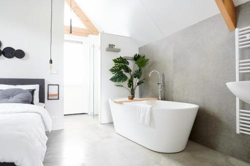 Imagen general del Hotel Wellness Lodges x De IJsvogel. Foto 16