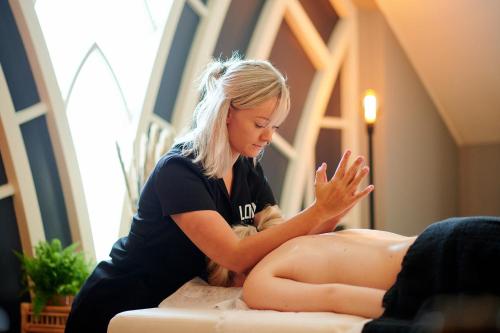 Imagen general del Hotel Wellness Lodges x De IJsvogel. Foto 17
