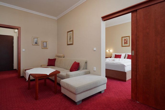 Imagen de la habitación del Hotel Wellness Luzan. Foto 4