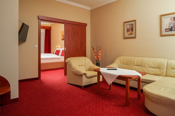 Imagen de la habitación del Hotel Wellness Luzan. Foto 7