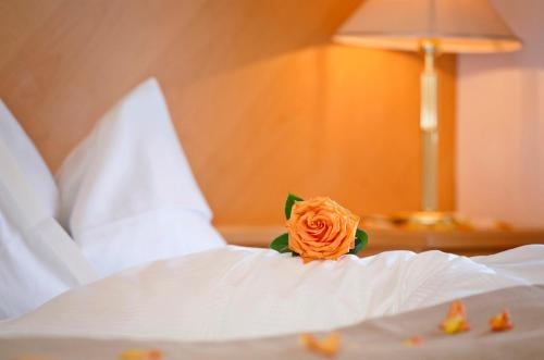Imagen general del Hotel Wellness Parc Ruipacherhof. Foto 1
