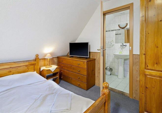 Imagen de la habitación del Hotel Wellness Penzión Rosnička. Foto 18