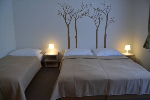 Imagen de la habitación del Hotel Wellness Sauna. Foto 11