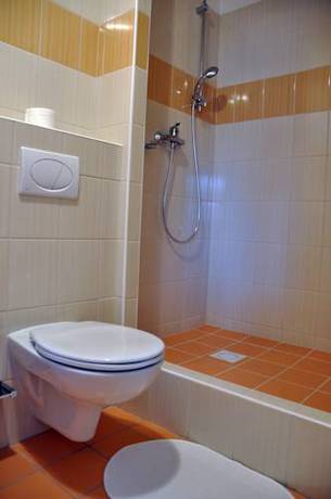 Imagen de la habitación del Hotel Wellness Sauna. Foto 15