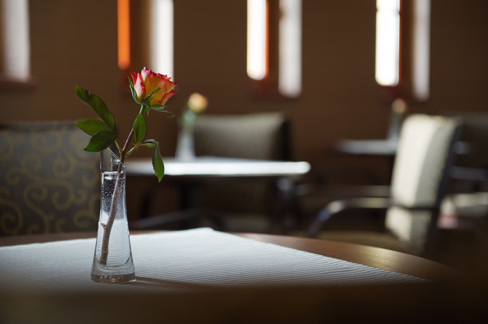 Imagen del bar/restaurante del Hotel Wellness Spark. Foto 5